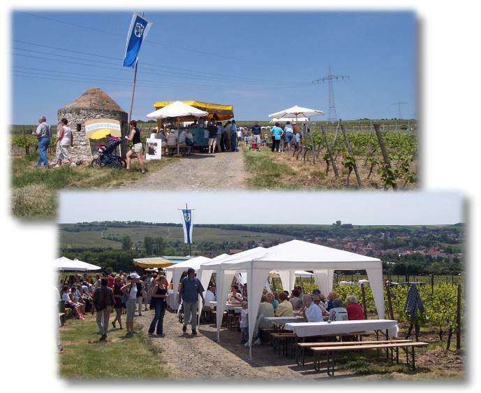 Weinwandern in Gundersheim